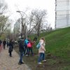 Весняна толока