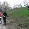 Весняна толока