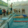 Спортивні змагання з плавання