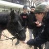 Психологічні основи фізичної реабілітації