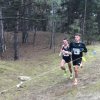Чемпіонат України з кросу