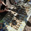 Спортивно-туристський похід в рамках Олімпійського тижня