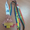 Чемпіонат світу з армреслінгу