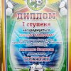 Кращі гравці ХХІ  Чемпіонату м. Києва з футболу 