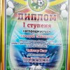 Кращі гравці ХХІ  Чемпіонату м. Києва з футболу 