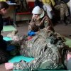 Участь у програмі підготовки киян до національного спротиву